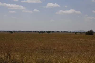 DSC_3585 (Large).JPG